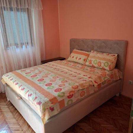 Apartman Sofija Plužine Extérieur photo