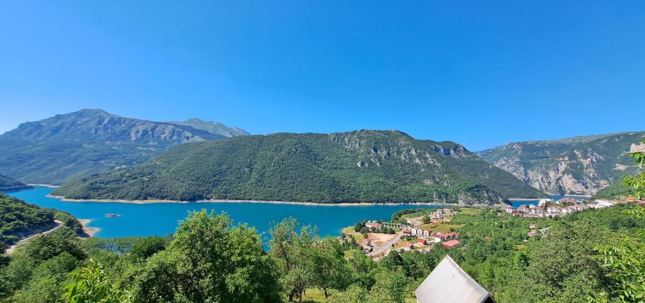 Apartman Sofija Plužine Extérieur photo